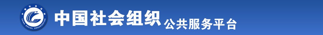 大鸡吧插入全国社会组织信息查询